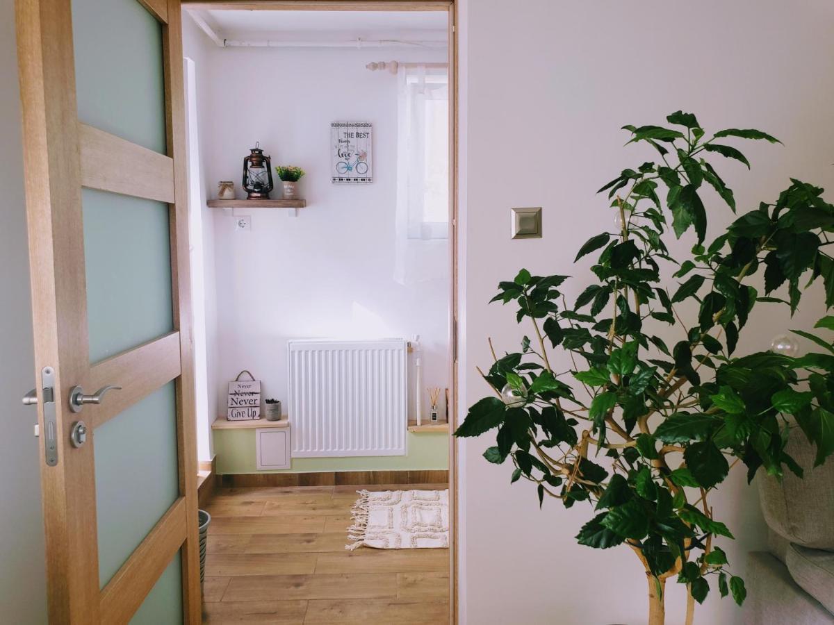 Cosy Studio-House With Terrace Târgu-Mureş Zewnętrze zdjęcie
